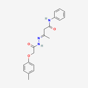 molecular formula C19H21N3O3 B11968494 (3E)-3-{[(4-methylphenoxy)acetyl]hydrazono}-N-phenylbutanamide 