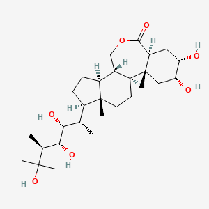 molecular formula C28H48O7 B1196977 25-Hydroxy-24-epi-brassinolide 