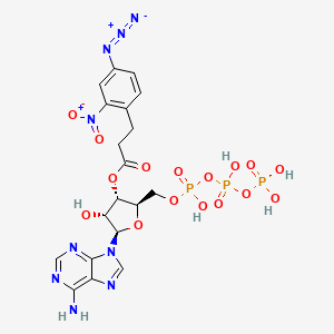 molecular formula C19H22N9O16P3 B1197063 3'-O-(3-(2-Nitro-4-azidophenyl)propionyl)adenosine triphosphate CAS No. 80220-04-8