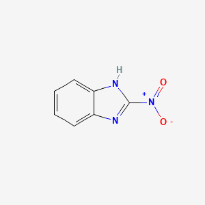 B1197101 2-Nitrobenzimidazole CAS No. 5709-67-1