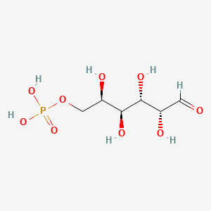 molecular formula C6H13O9P B1197297 半乳糖-6-磷酸 CAS No. 6665-00-5
