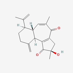 molecular formula C20H24O3 B1197460 Curcusone D CAS No. 103667-53-4