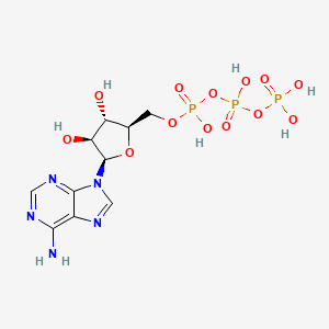 molecular formula C10H16N5O13P3 B1197770 Ara-ATP CAS No. 3714-60-1