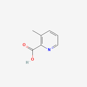 molecular formula C7H7NO2 B1197813 3-甲基吡啶甲酸 CAS No. 4021-07-2