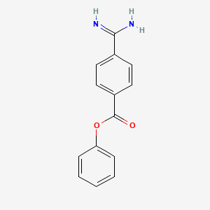 molecular formula C14H12N2O2 B1197839 4-Amidinophenylbenzoate CAS No. 50466-20-1