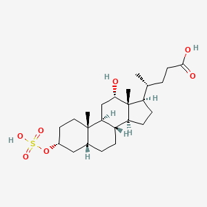 molecular formula C24H40O7S B1197841 3alpha-Sulfooxy-12alpha-hydroxy-5beta-cholan-24-oic acid CAS No. 67030-48-2