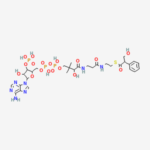 molecular formula C30H44N7O18P3S B1198000 Tropoyl-coa CAS No. 74717-87-6