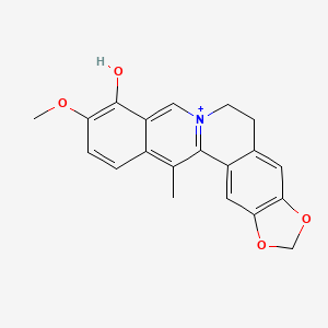 molecular formula C20H18NO4+ B1198023 13-Methylberberrubine CAS No. 53912-30-4