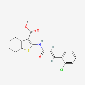 methyl 2-{[(2E)-3-(2-chlorophenyl)prop-2-enoyl]amino}-4,5,6,7-tetrahydro-1-benzothiophene-3-carboxylate