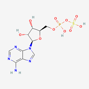 molecular formula C10H14N5O10PS B1198388 Adenosine-5'-phosphosulfate CAS No. 485-84-7