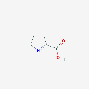 molecular formula C5H7NO2 B1198428 1-Pyrroline-2-carboxylic acid CAS No. 2139-03-9