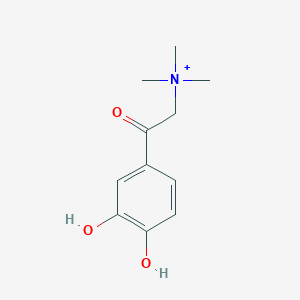 molecular formula C11H16NO3+ B1198451 [2-(3,4-二羟基苯基)-2-氧代乙基]-三甲基铵 