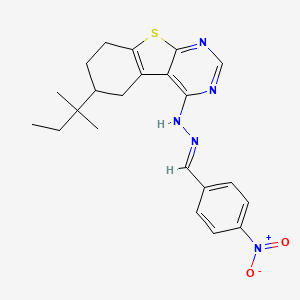 molecular formula C22H25N5O2S B11985035 4-Nitrobenzaldehyde (6-tert-pentyl-5,6,7,8-tetrahydro[1]benzothieno[2,3-d]pyrimidin-4-yl)hydrazone 