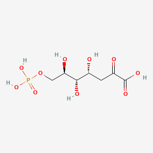 molecular formula C7H13O10P B1198679 3-脱氧-D-阿拉伯庚酮糖-7-磷酸 CAS No. 2627-73-8