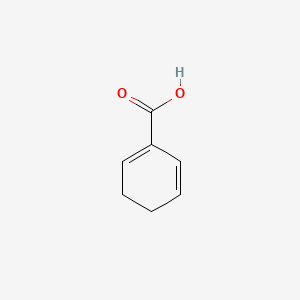 molecular formula C7H8O2 B1198943 Cyclohexa-1,5-diene-1-carboxylic acid CAS No. 40002-23-1