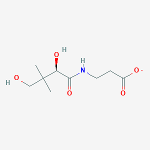 molecular formula C9H16NO5- B1199149 D-泛酸 CAS No. 20938-62-9