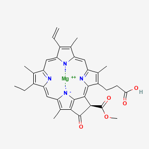molecular formula C35H32MgN4O5 B1199321 Protochlorophyllide 