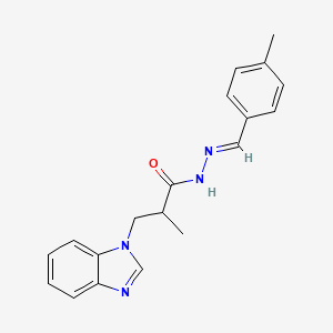 molecular formula C19H20N4O B11993400 3-(1H-benzimidazol-1-yl)-2-methyl-N'-[(E)-(4-methylphenyl)methylidene]propanehydrazide 