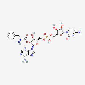molecular formula C28H34N9O12P B1199474 Cytidylyl-3'-5'-(2'(3')-O-L-phenylalanyl)-L-adenosine CAS No. 52250-44-9
