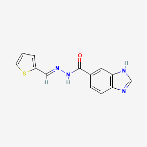 molecular formula C13H10N4OS B11995697 N'-(2-Thienylmethylene)-1H-benzimidazole-6-carbohydrazide 