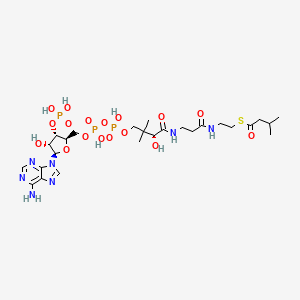 isovaleryl-CoA