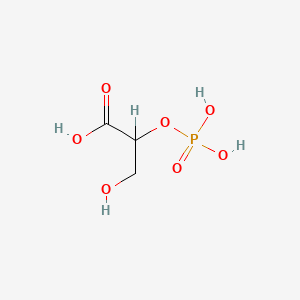 molecular formula C3H7O7P B1199676 2-磷酸甘油酸 CAS No. 2553-59-5
