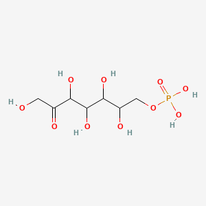 molecular formula C7H15O10P B1199694 D-Sedoheptulose 7-phosphate 