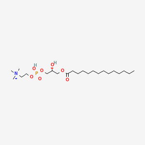 molecular formula C22H47NO7P+ B1199737 [1-Myristoyl-glycerol-3-YL]phosphonylcholine 