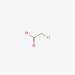 molecular formula C2H2ClO2- B1199739 Chloroacetate CAS No. 14526-03-5