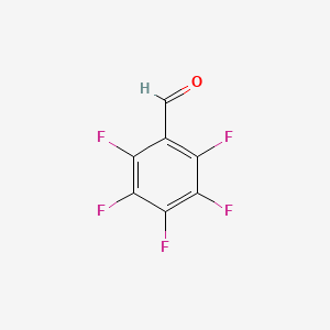 molecular formula C7HF5O B1199891 五氟苯甲醛 CAS No. 653-37-2