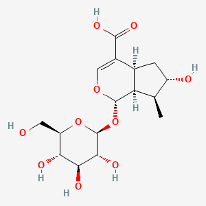 molecular formula C16H24O10 B1199924 8-Epiloganic acid CAS No. 82509-41-9