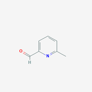 molecular formula C7H7NO B119999 6-甲基-2-吡啶甲醛 CAS No. 1122-72-1