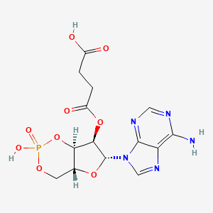 molecular formula C14H16N5O9P B1200236 Adenosine cyclic 3',5'-(hydrogen phosphate) 2'-(hydrogen succinate) CAS No. 36940-87-1