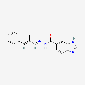 N'-[(E,2E)-2-methyl-3-phenyl-2-propenylidene]-1H-benzimidazole-6-carbohydrazide