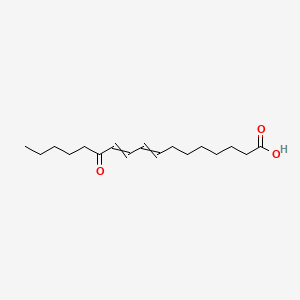 molecular formula C17H28O3 B1200394 12-Oxoheptadeca-8,10-dienoic acid 