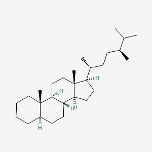 molecular formula C28H50 B1200461 5alpha-Ergostane CAS No. 511-20-6