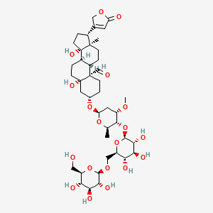 molecular formula C42H64O19 B1200544 K-洋地黄毒苷 CAS No. 33279-57-1