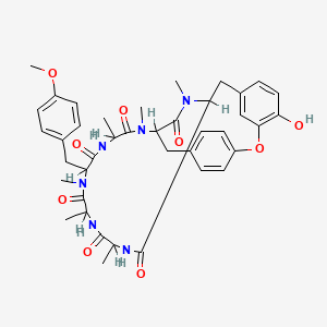 molecular formula C40H48N6O9 B1200550 去氧布瓦丁 CAS No. 64725-24-2