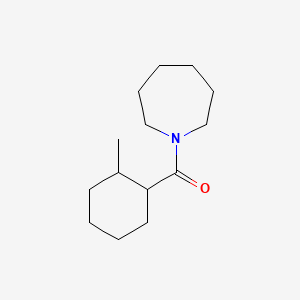 molecular formula C14H25NO B1200651 Hexahydro-1-((2-methylcyclohexyl)carbonyl)-1H-azepine CAS No. 52736-62-6
