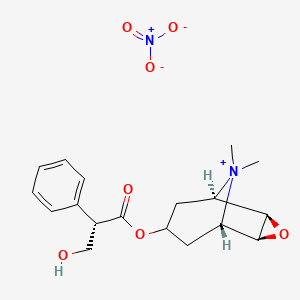 molecular formula C18H24N2O7 B1200666 甲苯甲胆碱硝酸盐 CAS No. 6106-46-3