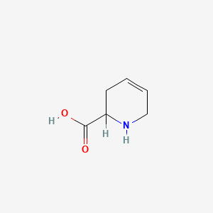 molecular formula C6H9NO2 B1200670 1,2,3,6-四氢-2-吡啶甲酸 CAS No. 498-98-6