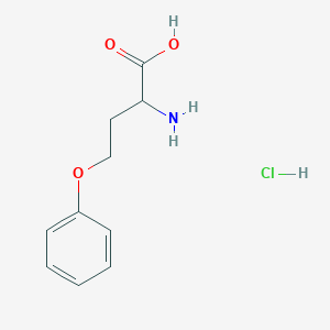 O-phenylhomoserine hydrochloride