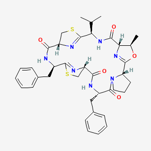 molecular formula C38H45N7O5S2 B1200847 Lissoclinamide 7 CAS No. 126297-39-0