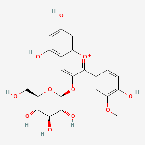 molecular formula C22H23O11+ B1200960 Peonidin-3-glucoside CAS No. 68795-37-9