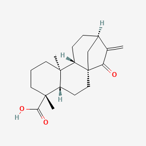molecular formula C20H28O3 B1200975 ent-15-Oxo-kaur-16-en-19-oic acid CAS No. 6620-00-4