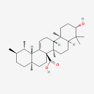 molecular formula C30H48O3 B1201014 alpha-Peltoboykinolic acid CAS No. 24778-49-2