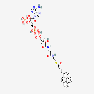 molecular formula C41H50N7O17P3S B1201197 1-Pyrenebutyryl-coa CAS No. 81923-89-9