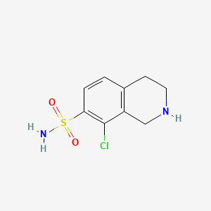 B1201421 8-Chloro-tetrahydroisoquinoline-7-sulfonamide CAS No. 81134-73-8