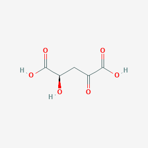 molecular formula C5H6O6 B1201542 D-4-Hydroxy-2-oxoglutarate 