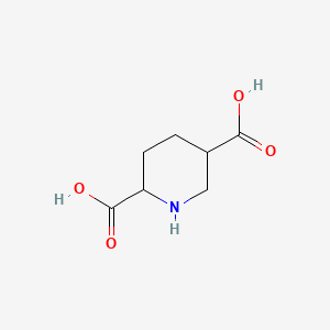 molecular formula C7H11NO4 B1201703 2,5-Piperidinedicarboxylic acid 